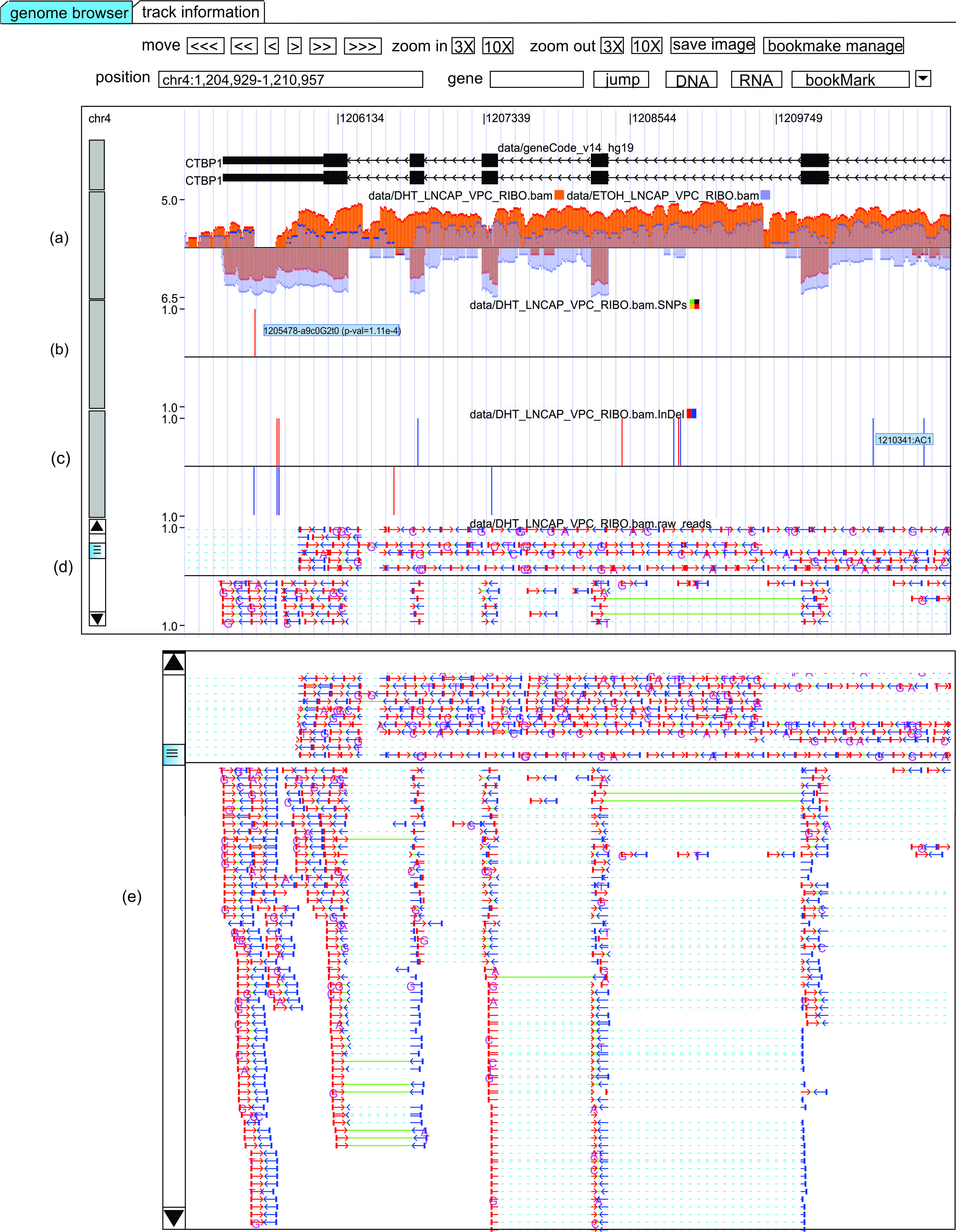 rnaseqbrowser_screenshot