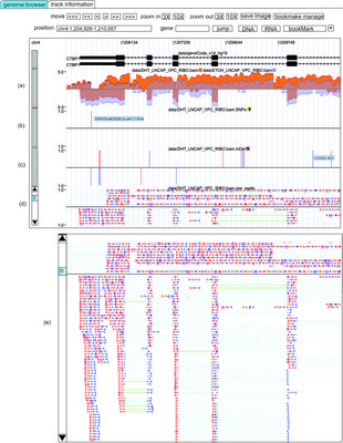 rnaseqbrowser_screenshot
