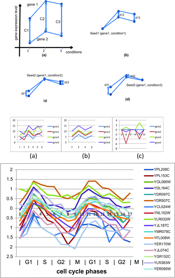 Seed-based biclustering 