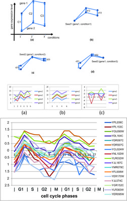 Seed-based biclustering 