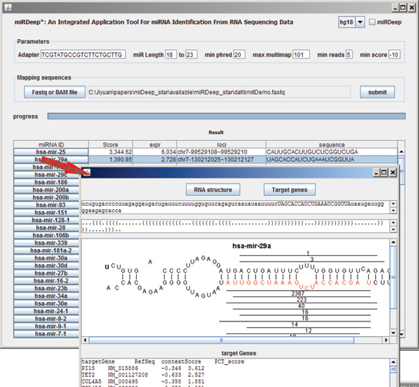 miRDeep-star screen shot