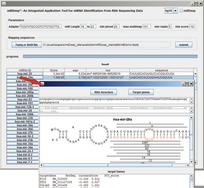 miRDeep-star screen shot