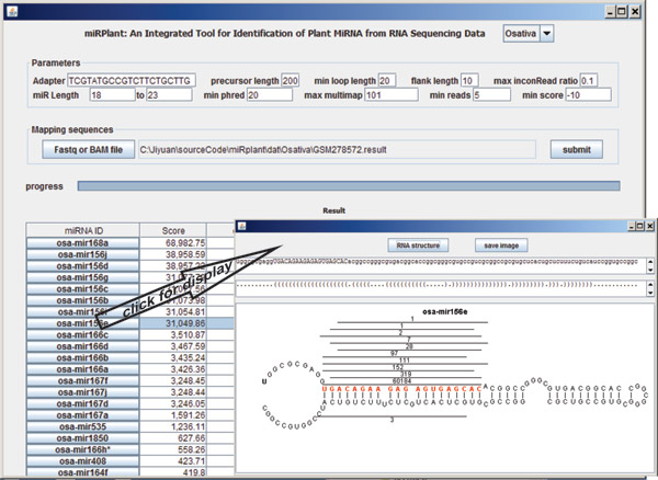 miRPlant interface