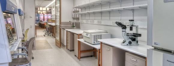TRI side lab space