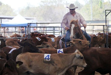 QWCHC Rodeo 2