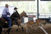 Rodeo Raises Funds