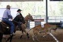 Rodeo Raises Funds